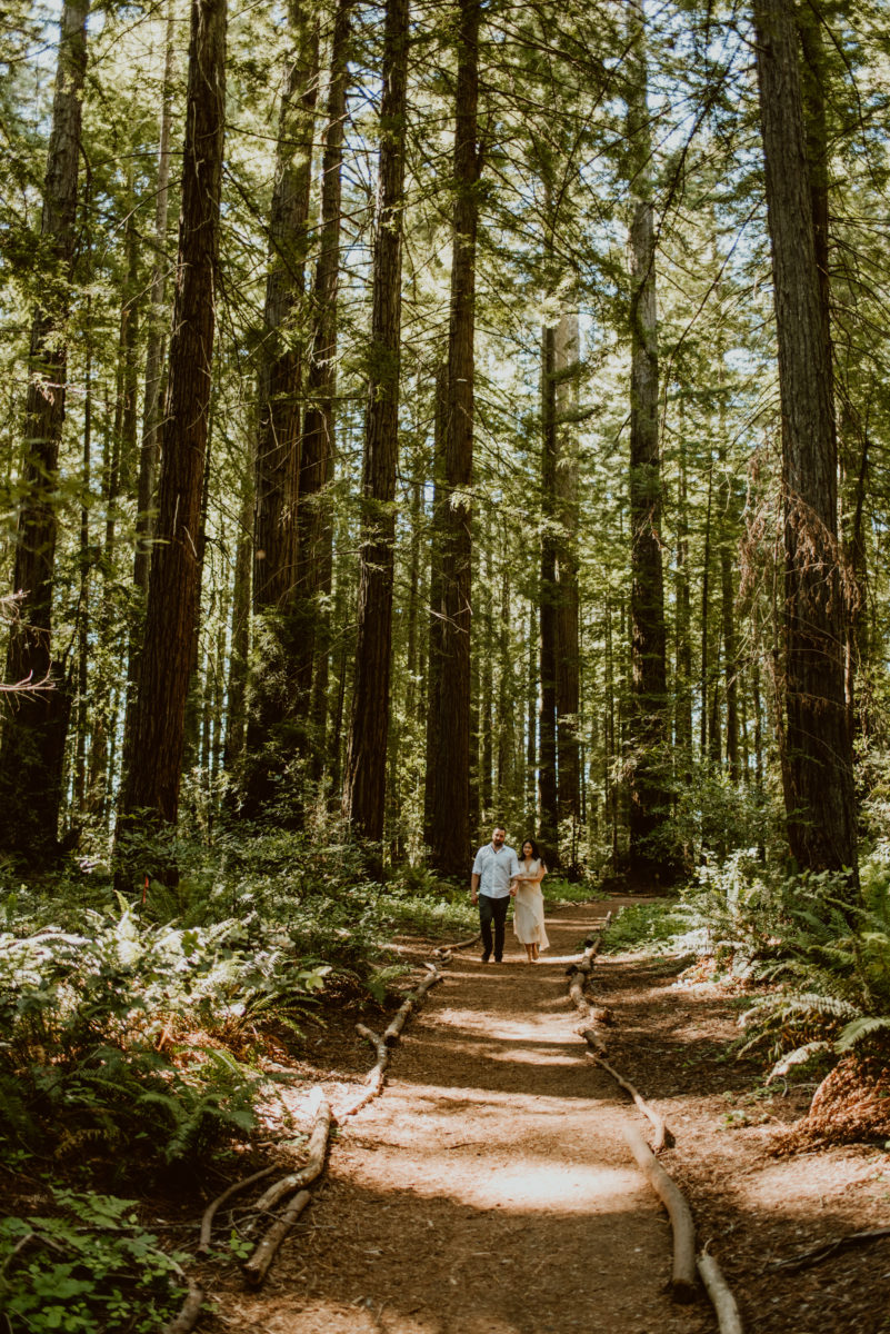 If you're wondering how to elope in Hendy Woods, when to do it, or what to do when you get there, I've got you covered in this guide!