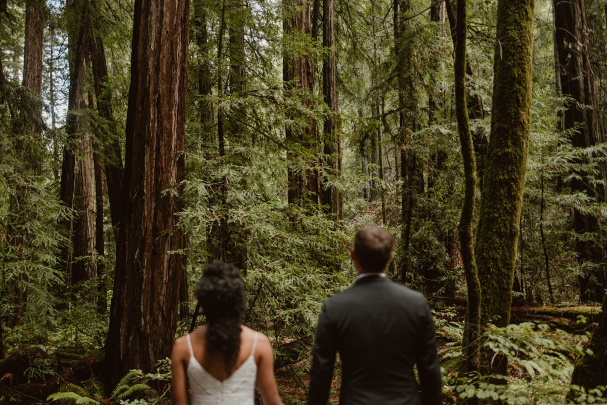 If you're wondering how to elope in Hendy Woods, when to do it, or what to do when you get there, I've got you covered in this guide!