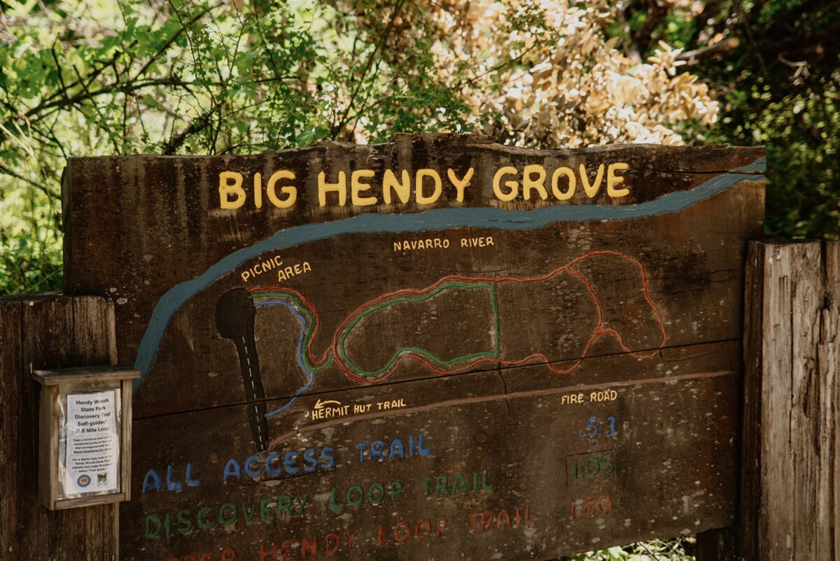 If you're wondering how to elope in Hendy Woods or what to do when you get there, check out this post for everything you need.