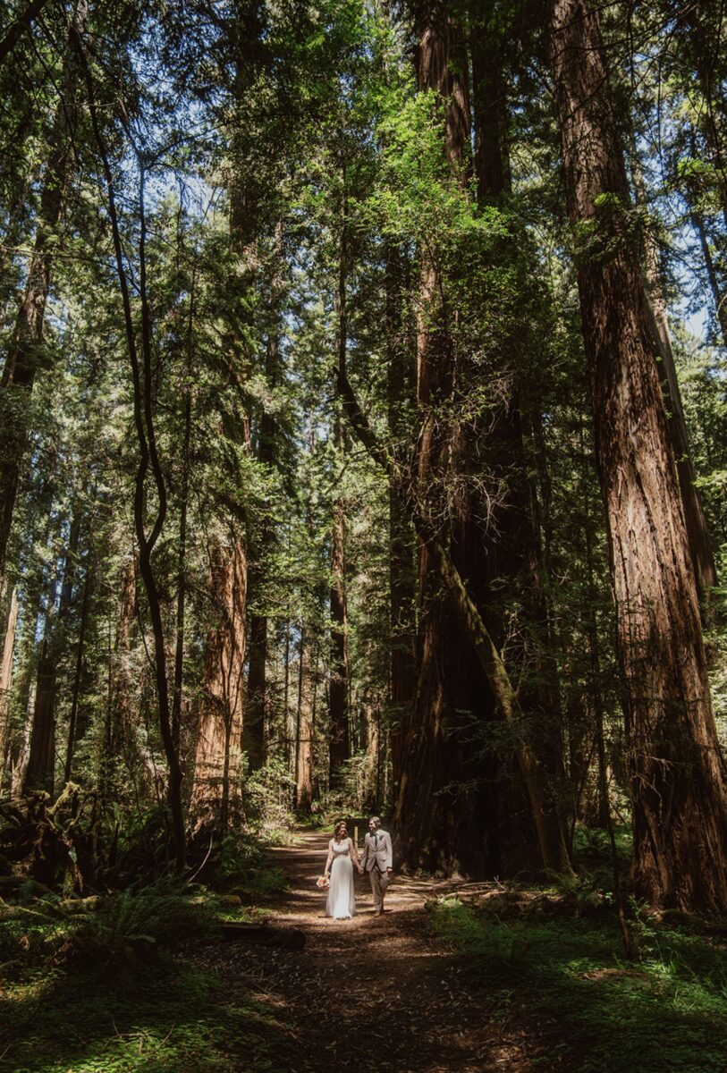 If you're wondering how to elope in Hendy Woods or what to do when you get there, check out this post for everything you need.