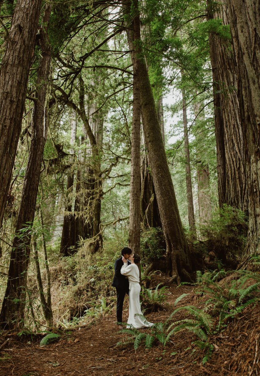 A couple shares a kiss in the redwood forest, surrounded by ferns, redwood duf, and cloudy skies seen partially through the canopy. Plan a multi-day California elopement with hikes, portraits, and peace. Here’s how to design an experience that feels like you.