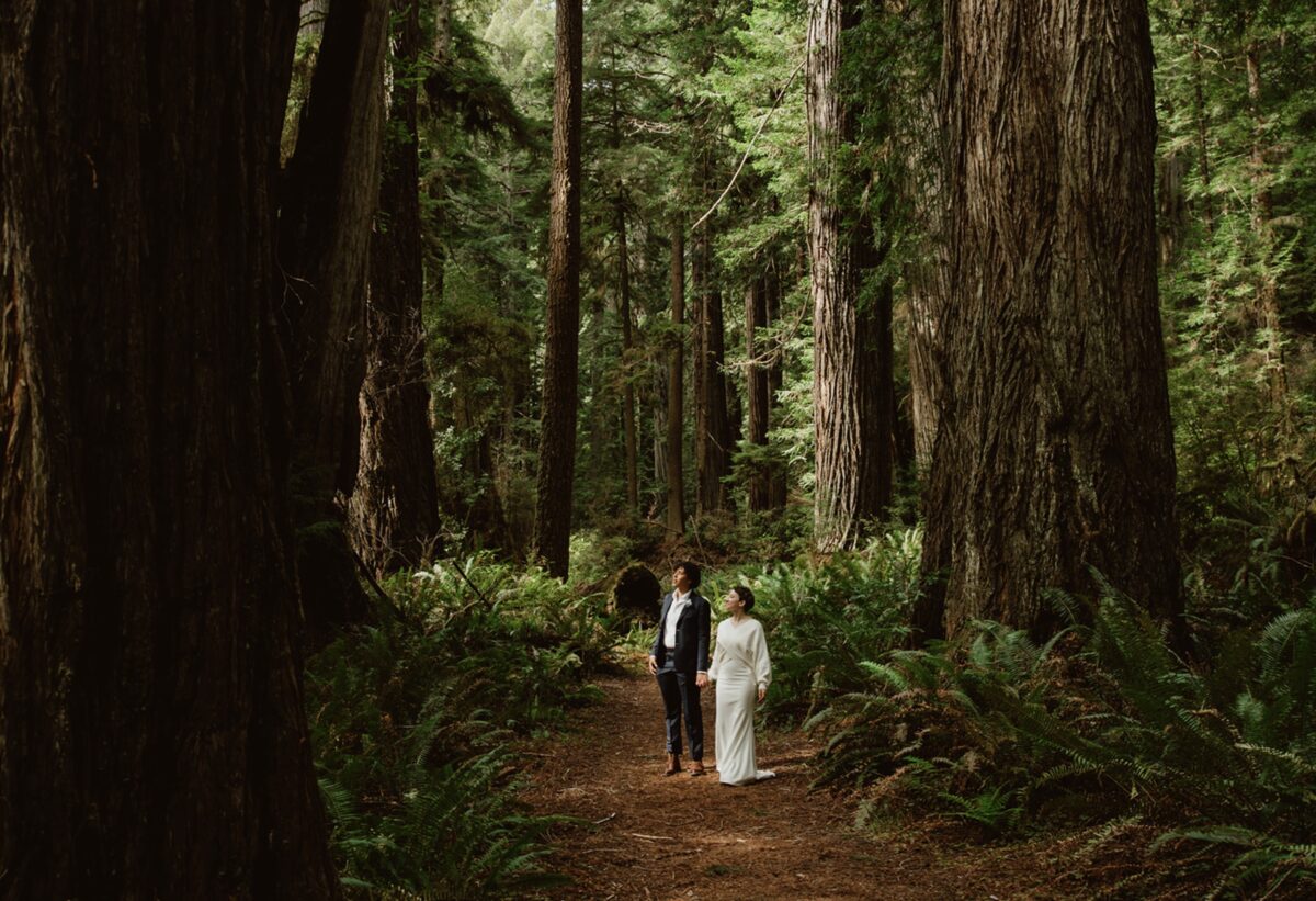 A queer couple stand together in the forest on their wedding day; one partner wears a white shirt and navy suit, and the other wears a white dress and wrap sweater. They're standing in a small pocket of sun looking up at the canopy. In this post are gentle ways to tell family you're eloping—plus emotional tips, real scripts, and ways to honor your loved ones without losing yourself.