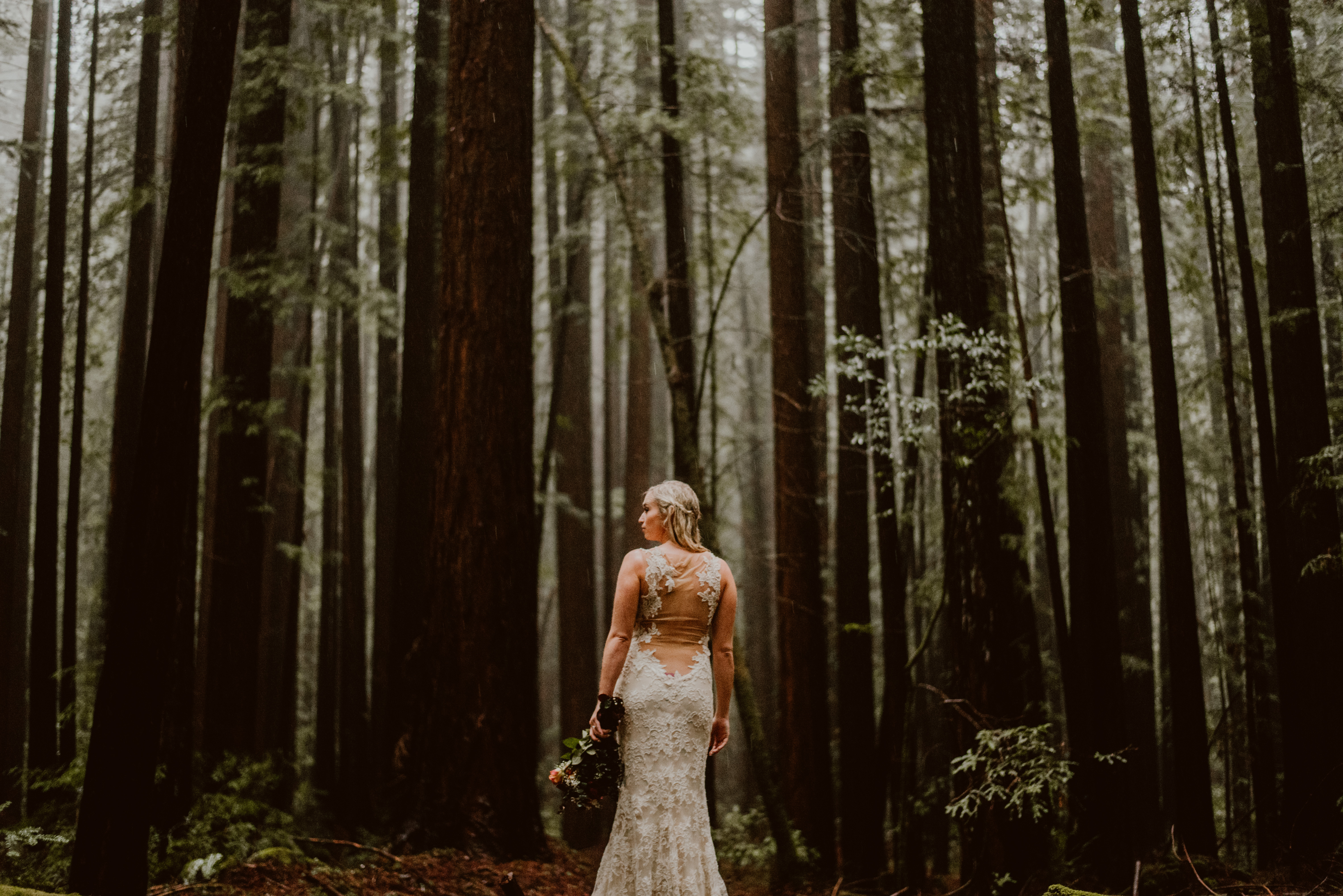 A bride looks into the distance of the Armstrong Redwoods