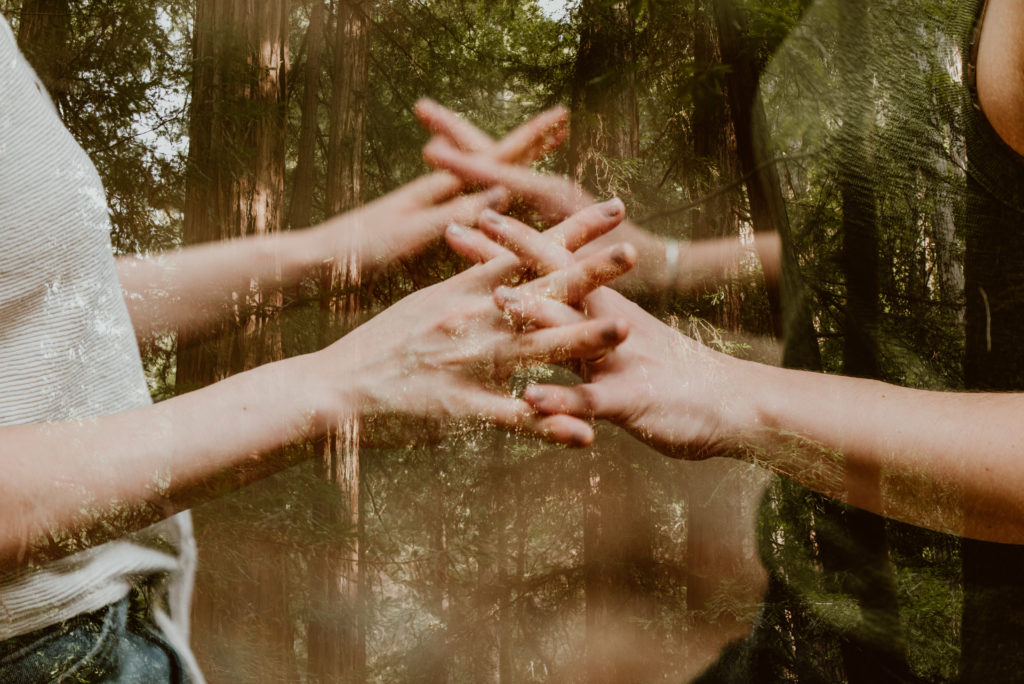 Two pairs of hands interlaced are shown with an overlay of the forest around them. Be sure to check out this post for photos from their forest and river engagement session!