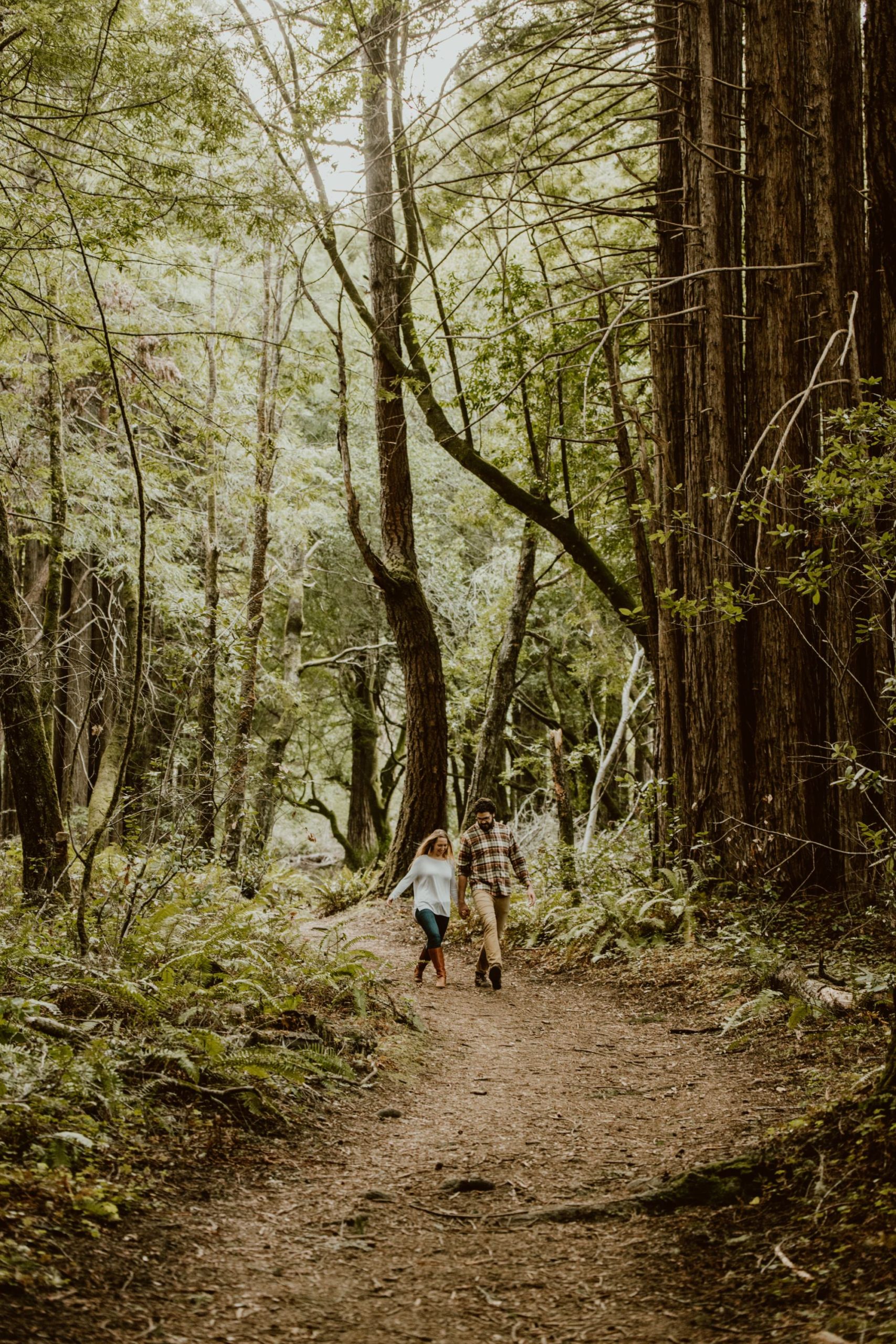 A couple walks hand in hand down a trail in a redwood forest on the Sonoma coast.