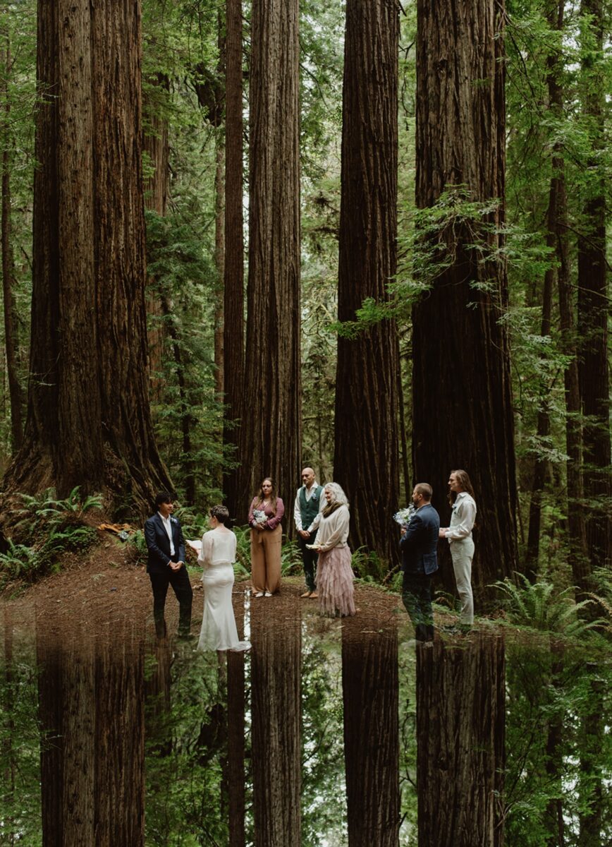 Learn how to create meaningful redwood elopement experiences in California and Oregon’s ancient redwood forests: from choosing the perfect time to capturing magical photos.