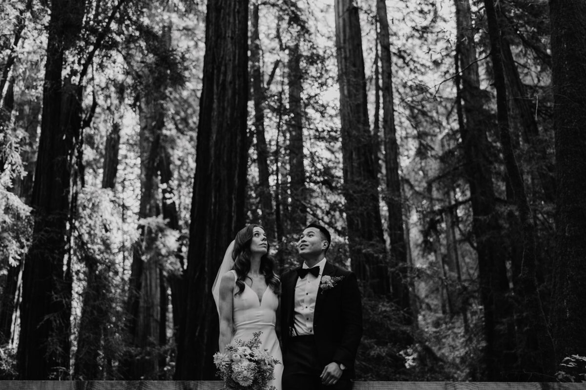 Learn how to create meaningful redwood elopement experiences in California and Oregon’s ancient redwood forests: from choosing the perfect time to capturing magical photos.